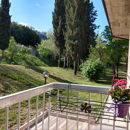 B&B Il Torchio-Urbino Buitenkant foto