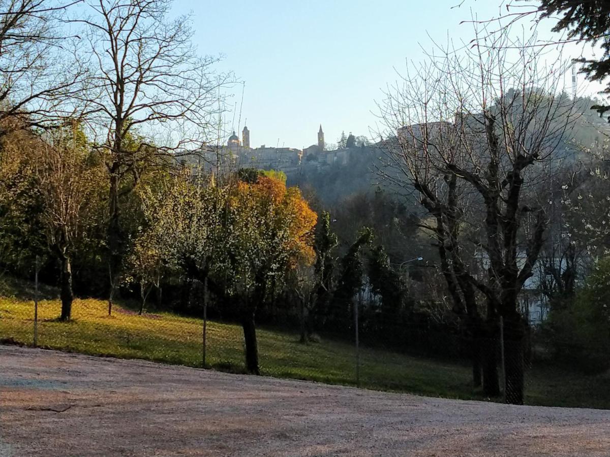 B&B Il Torchio-Urbino Buitenkant foto